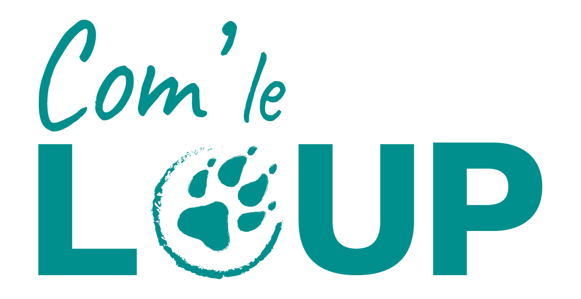 Logo CLL turquoise